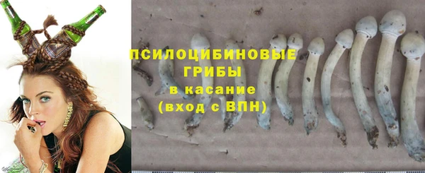эйфоретик Алексеевка