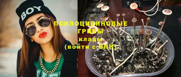 эйфоретик Алексеевка