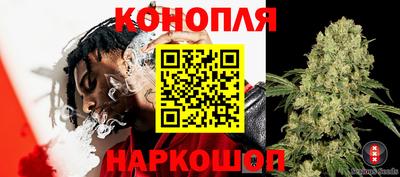 МДПВ Краснодар