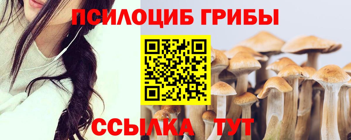Псилоцибиновые грибы ЛСД Тейково