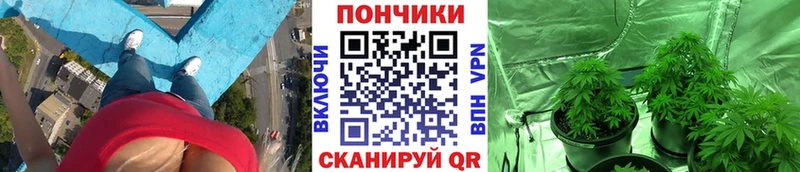 купить   Тейково  Каннабис OG Kush 